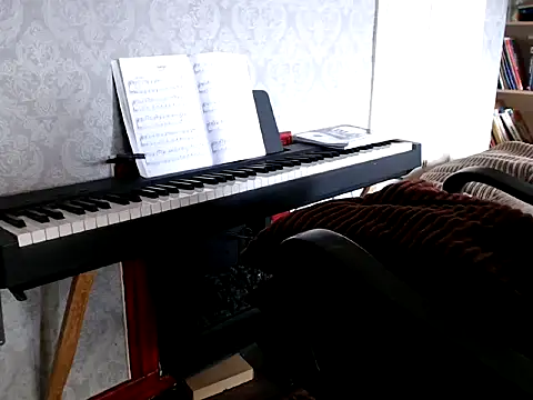 Snapshot of MrStraightDik chatting on February 2025 12:45:02 PM MrStraightDik online show from February 2025 12:45:02 PM