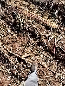 murokkk31 online show from December 2025 08:41:02 AM