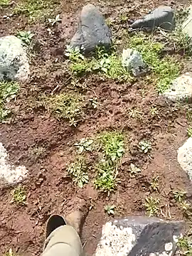 murokkk31 online show from March 2026 07:09:02 AM