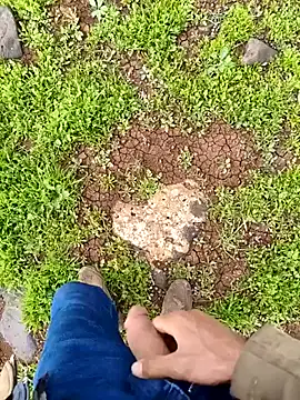 murokkk31 online show from April 2026 01:52:02 PM