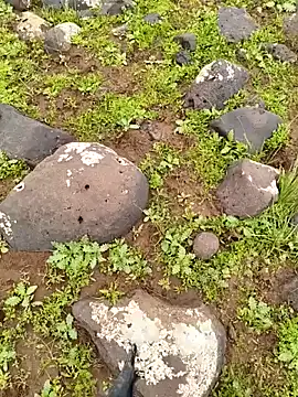 murokkk31 online show from April 2026 09:29:01 AM