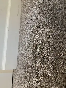 Big-dick 1 online show from December 2024 03:20:02 PM