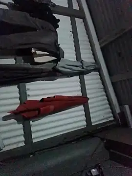 Algenis1232 online show from November 2025 07:29:02 AM