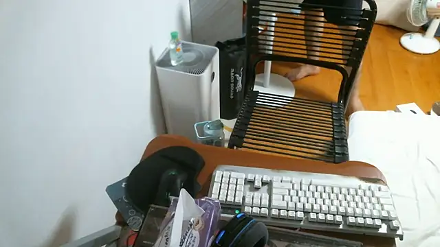 Snapshot of Stellan_0412 chatting on February 2026 05:31:01 PM Stellan 0412 online show from February 2026 05:31:01 PM