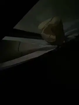 Snapshot of xxkingxx420 chatting on December 2024 07:00:01 PM xxkingxx420 online show from December 2024 07:00:01 PM