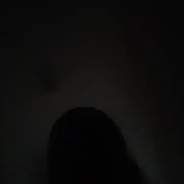 wlammi ptr online show from December 2025 05:01:01 AM