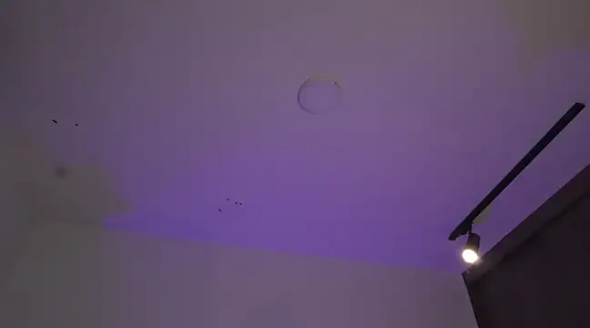 appolo allen online show from March 2025 07:24:01 AM