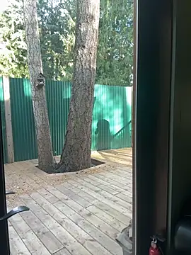 twist699 online show from November 2025 06:40:02 PM