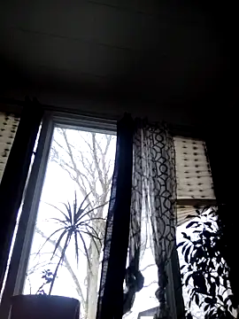 otterlover123 online show from December 2024 06:55:01 PM