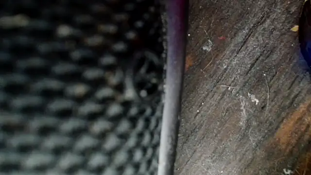 Snapshot of Gigadickman chatting on December 2024 08:33:01 PM Gigadickman online show from December 2024 08:33:01 PM