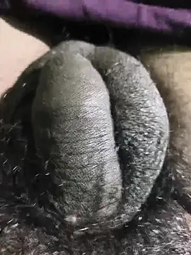 rajrahulovi online show from February 2026 12:56:02 PM