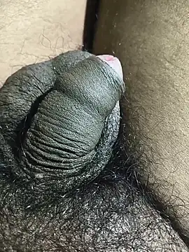 rajrahulovi online show from February 2026 05:21:01 PM