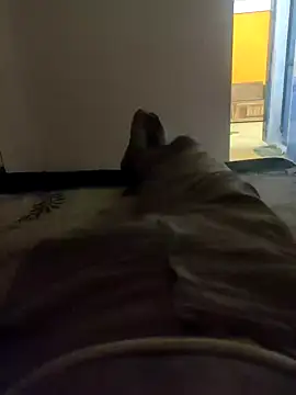 HandsomeHunky1 online show from November 2025 04:50:02 PM