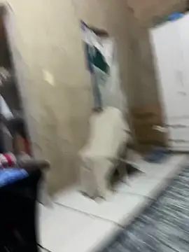 HenriqueH3 online show from March 2026 04:14:02 PM