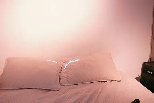 Snapshot of Nicky_and_Blake chatting on February 2025 07:57:02 PM Nicky and Blake online show from February 2025 07:57:02 PM