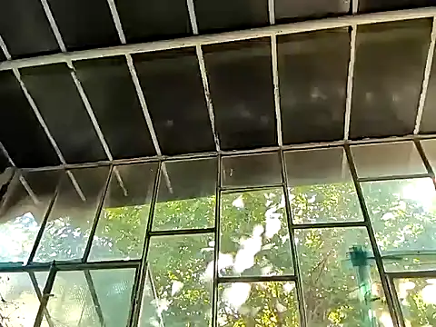 Milky hairy mommy online show from September 2025 01:00:02 PM