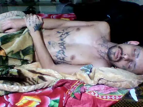 Snapshot of sellvageria chatting on October 2025 07:26:02 AM sellvageria online show from October 2025 07:26:02 AM