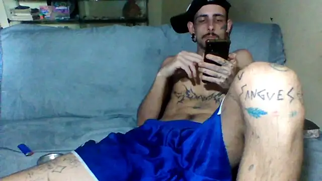 sellvageria online show from November 2025 06:41:04 PM