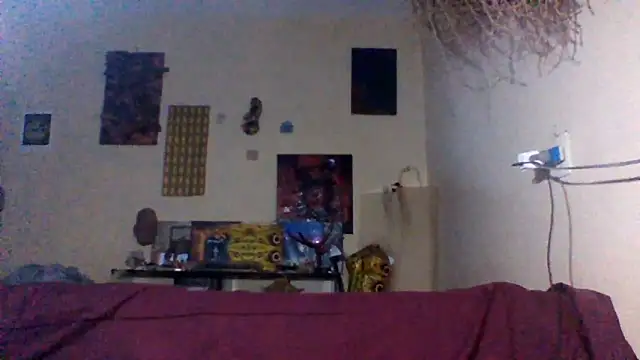 sellvageria online show from February 2026 12:18:02 AM