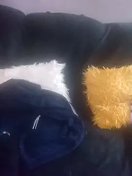 amarrabrown2024 online show from March 2025 07:13:02 AM