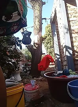 amarrabrown2024 online show from September 2025 06:04:01 AM