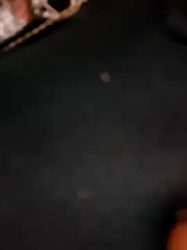 5g4ever online show from March 2026 10:54:01 AM