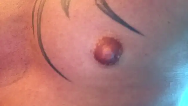 Snapshot of Timbojan28 chatting on February 2026 10:37:01 PM Timbojan28 online show from February 2026 10:37:01 PM