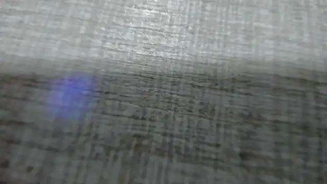 AishaRouhi online show from March 2026 04:40:02 AM