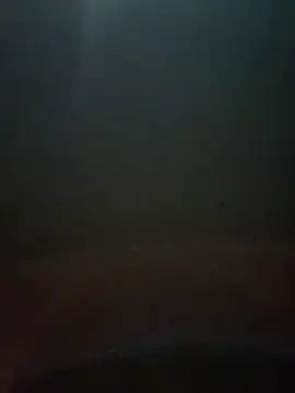 cumshotboy01 online show from December 2024 03:54:02 PM