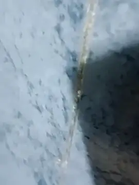 Snapshot of Chancho141414 chatting on October 2025 02:03:02 AM Chancho141414 online show from October 2025 02:03:02 AM