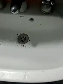 Snapshot of Chancho141414 chatting on November 2025 04:47:01 PM Chancho141414 online show from November 2025 04:47:01 PM