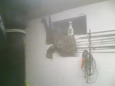 Snapshot of Rejtelmesest chatting on February 2025 05:24:01 PM Rejtelmesest online show from February 2025 05:24:01 PM