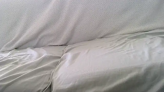 petardroutier online show from November 2025 09:53:02 AM