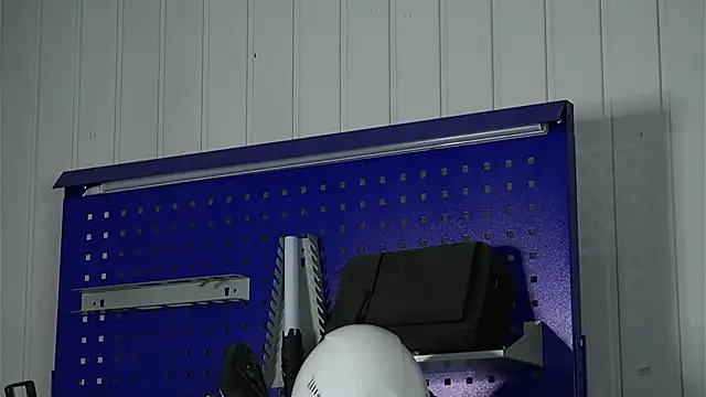 dustyn fox online show from March 2026 11:39:02 AM