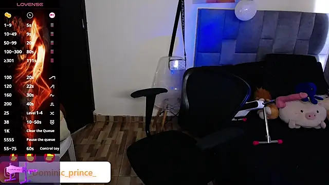 DominicPrince online show from November 2025 07:02:01 PM