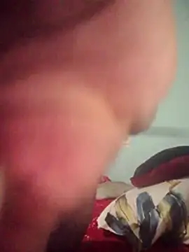 DigCrok online show from April 2026 08:20:02 PM