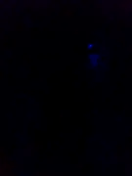 dotado20robson online show from February 2026 04:41:01 AM