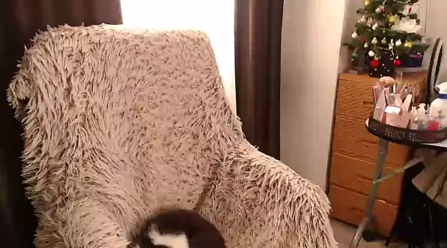 Goddessmxx online show from December 2024 11:55:02 AM