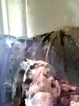 Pineapple04 online show from March 2026 06:19:01 AM