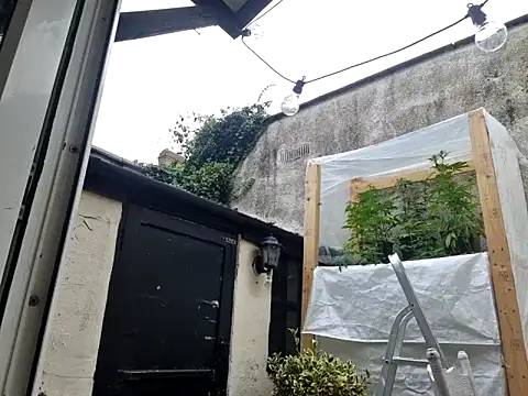 stavroun online show from September 2025 04:18:02 PM