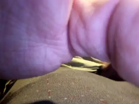 stavroun online show from December 2025 04:10:02 AM