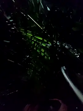 Snapshot of mis312 chatting on January 2026 05:10:02 AM mis312 online show from January 2026 05:10:02 AM