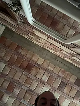 ros217 online show from March 2026 08:17:01 AM