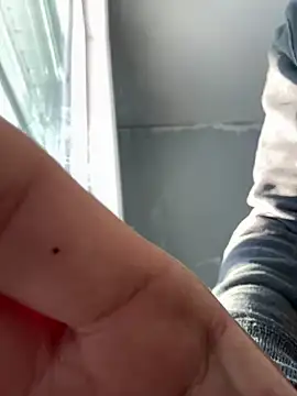 SmokingSloth online show from January 2025 09:22:01 PM