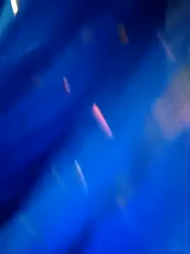 Snapshot of sneha_rose chatting on September 2025 05:12:02 PM sneha rose online show from September 2025 05:12:02 PM