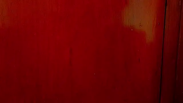 Snapshot of anisha_x chatting on October 2025 07:20:02 PM anisha x online show from October 2025 07:20:02 PM