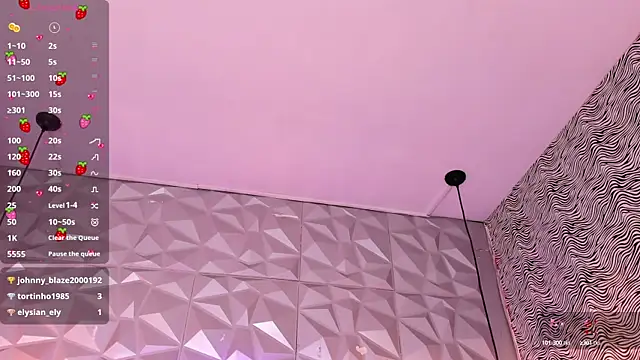 Snapshot of meraki_fraise chatting on February 2025 12:52:02 AM meraki fraise online show from February 2025 12:52:02 AM