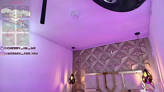 Snapshot of meraki_fraise chatting on November 2025 04:07:02 PM meraki fraise online show from November 2025 04:07:02 PM