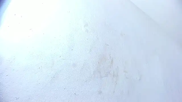 Snapshot of brant_garciabbc chatting on February 2025 10:02:01 PM brant garciabbc online show from February 2025 10:02:01 PM