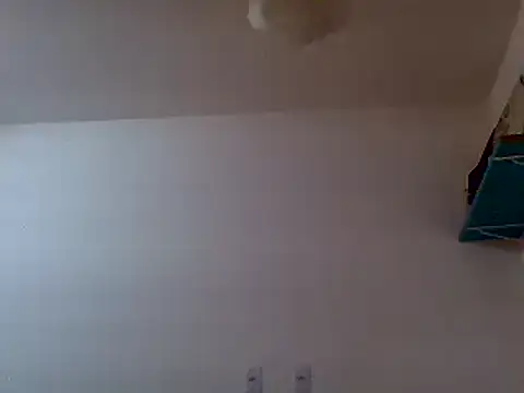 couplemilk online show from February 2025 04:42:01 AM